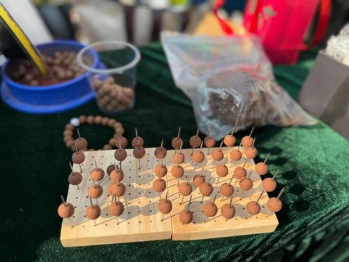 今日小雪，寶山健康廟會引領養生新潮流 中醫美式咖啡與中藥手串共舞